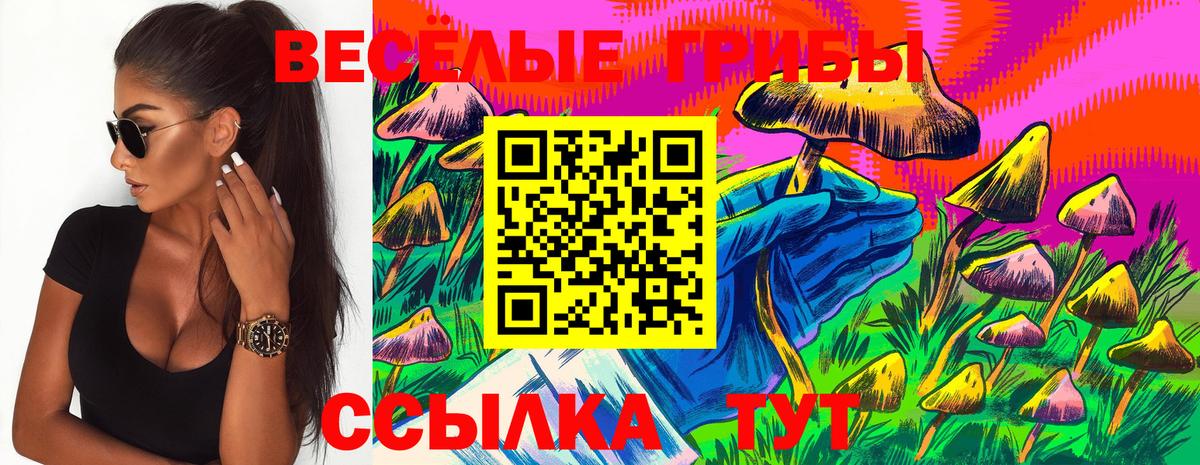 Уварово  наркота  Галлюциногенные грибы GOLDEN TEACHER  Вход с VPN  Псилоцибиновые грибы ЛСД 